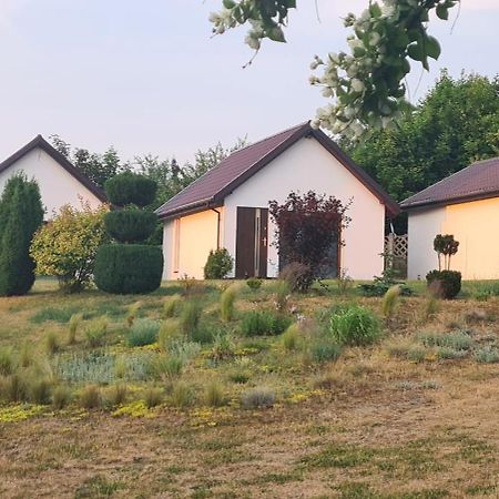 Nadmorskie Slonce Lubin  Esterno foto